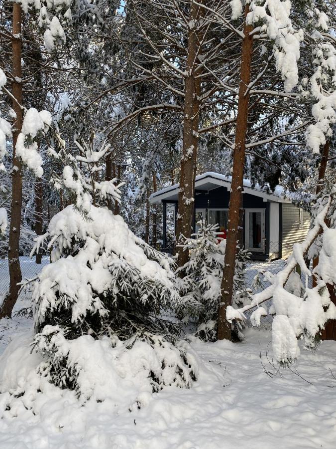 Дом в лесу. Скандинавский шик. Заокский Экстерьер фото